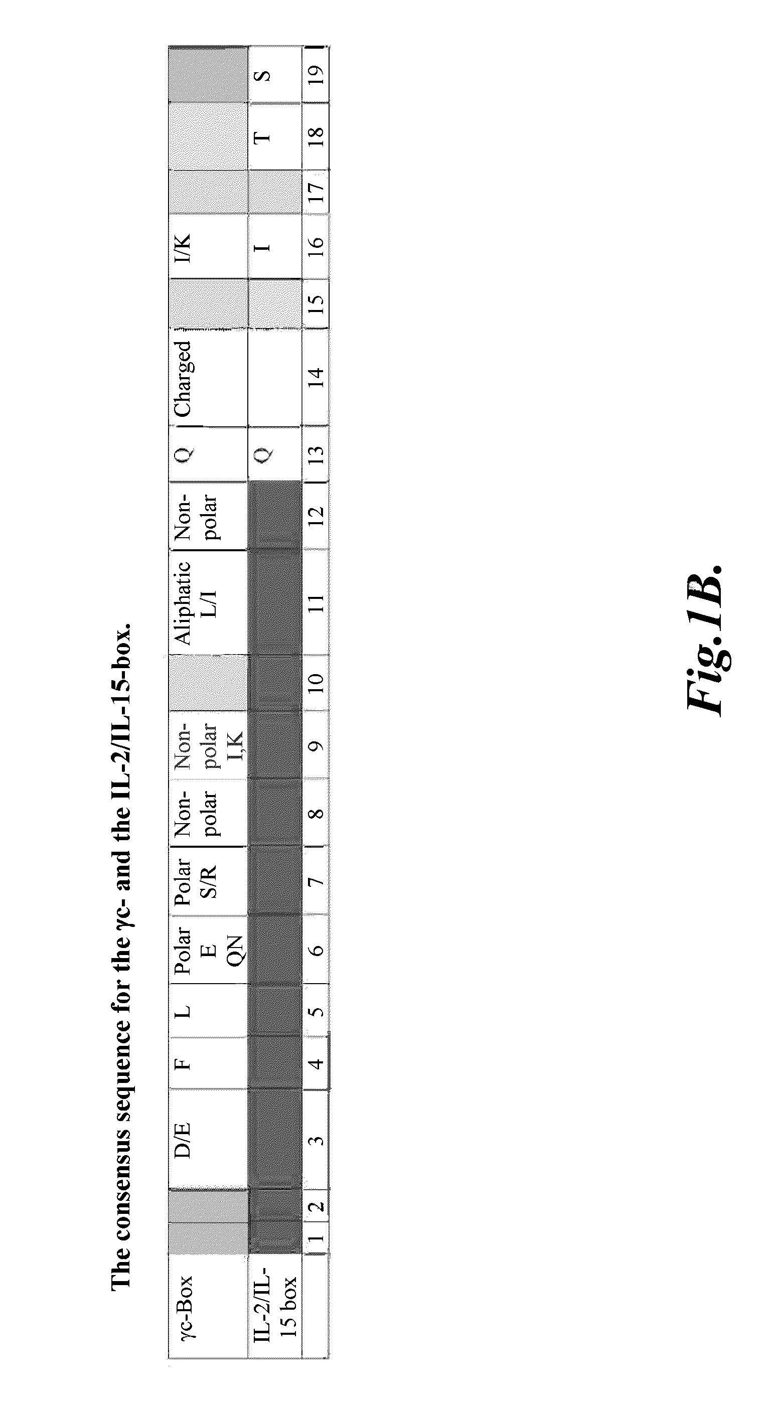 Compositions and methods for modulating gamma-c-cytokine activity