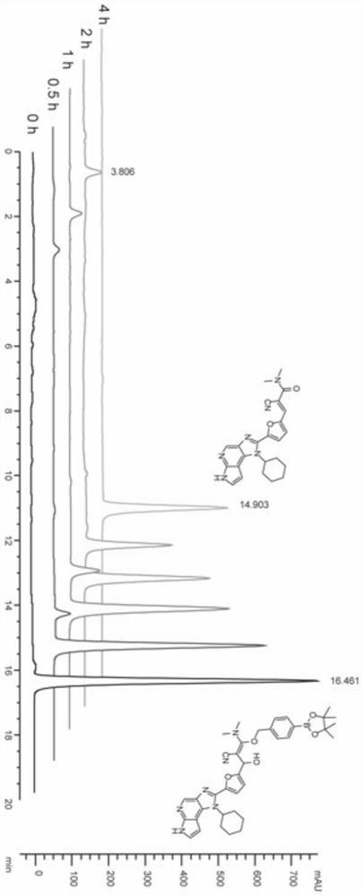 Prodrug of a ROS-responsive JAK3 covalent inhibitor, preparation method and use for treating rheumatoid arthritis