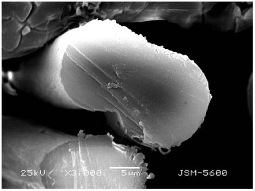 A kind of preparation method of wet process bright acrylic fiber