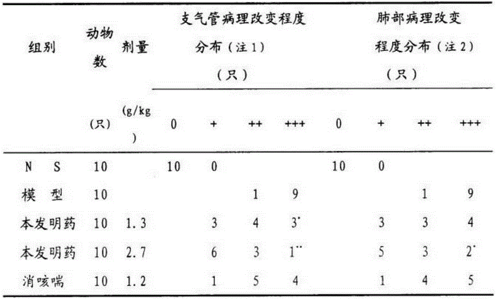 Medicine for treating bronchitis based on traditional Chinese and western medicine therapy and preparation method of medicine