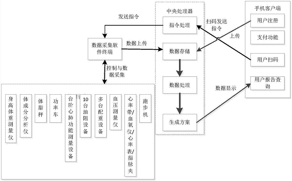 Physical fitness assessment and fitness system