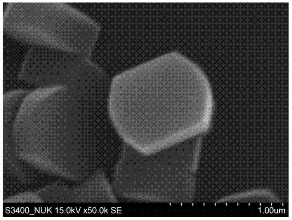 Preparation method of directional zeolite membrane