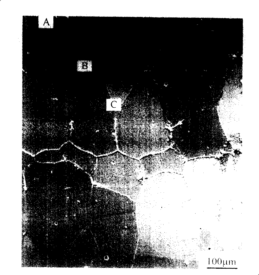 Process for preparing high silicon stalloy by pack siliconizing process