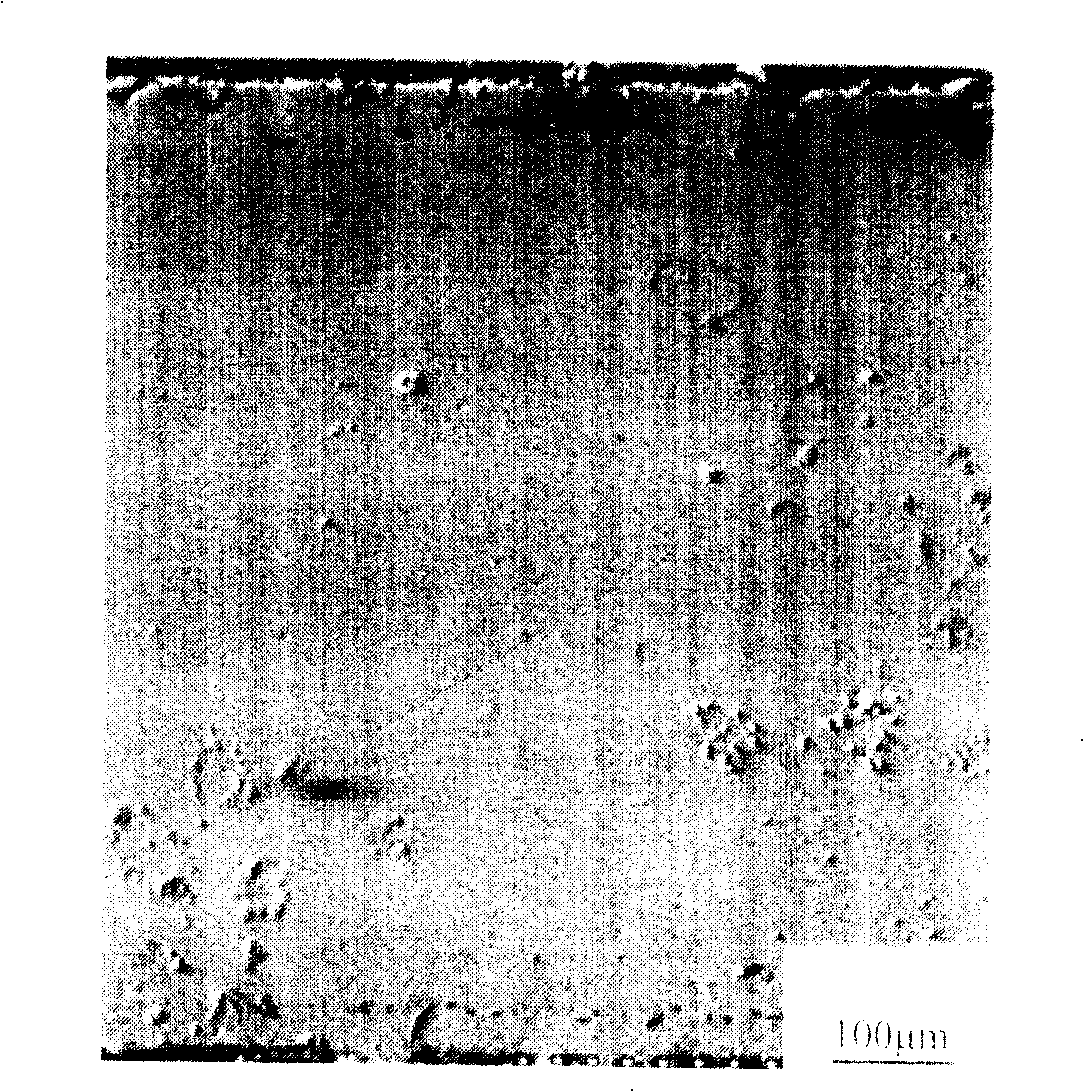 Process for preparing high silicon stalloy by pack siliconizing process