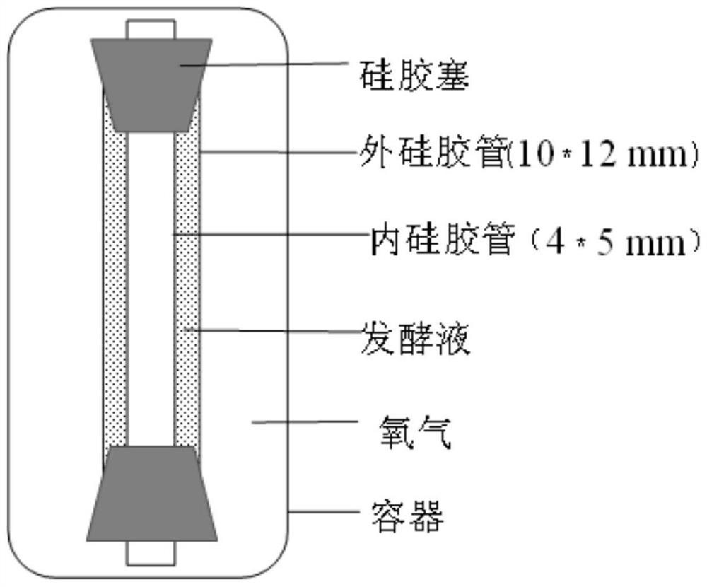 A method for pressure-controlled dry bacterial cellulose to restore the original three-dimensional network structure