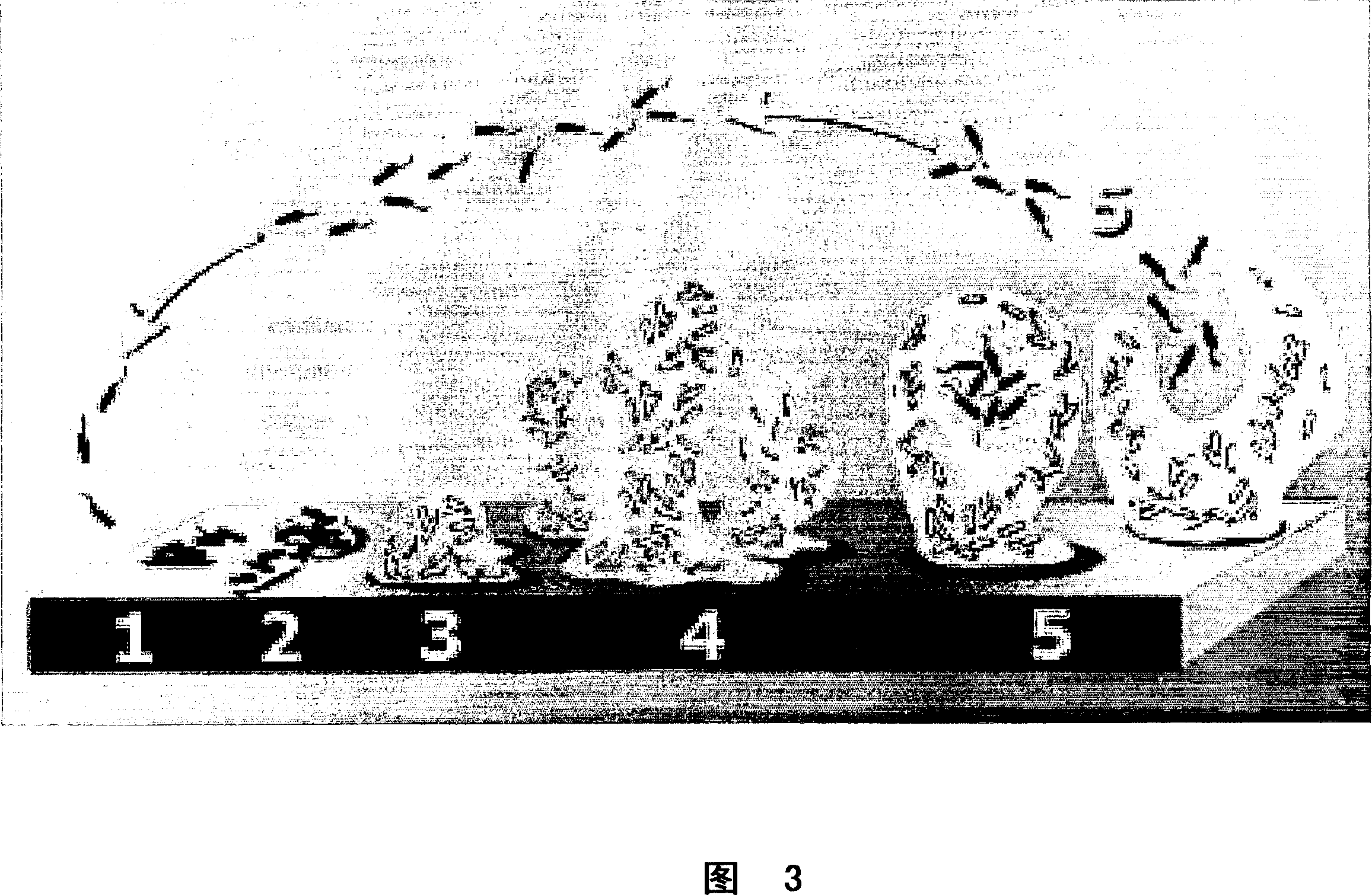 Methods and compositions for preventing biofilm formation, reducing existing biofilms, and for reducing populations of bacteria