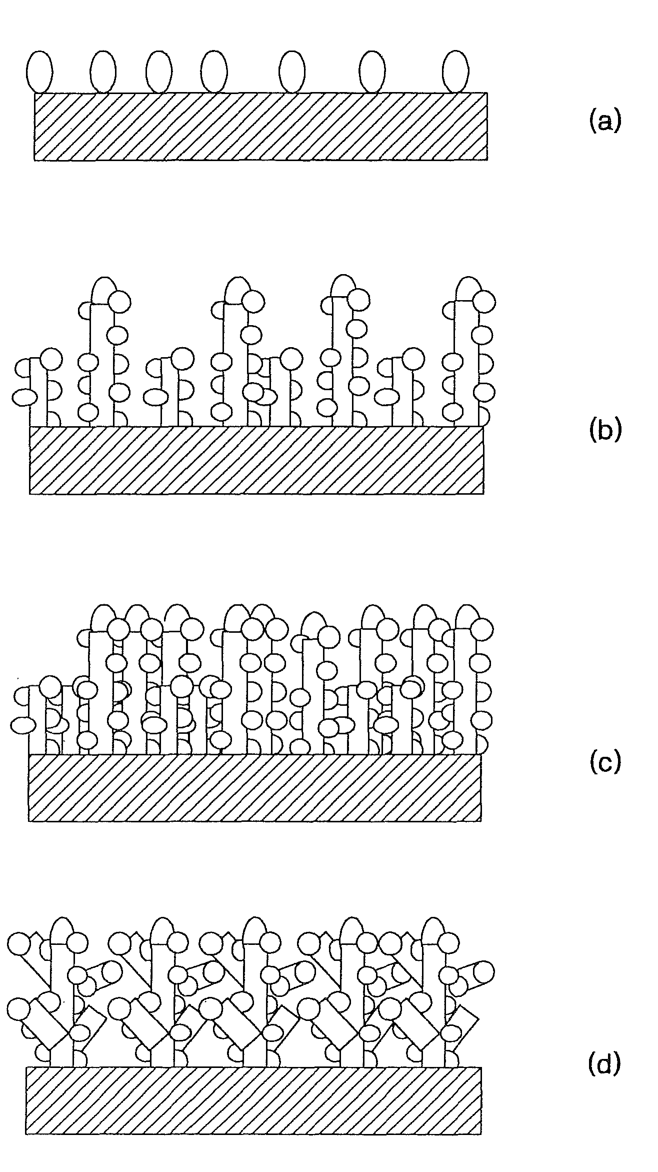 Carbon nanotubes for fuel cells, method for manufacturing the same, and fuel cell using the same