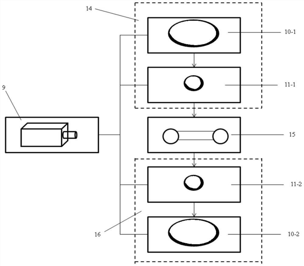 Device and method for detecting activity of microalgae in ballast water with polarized optical fluidics