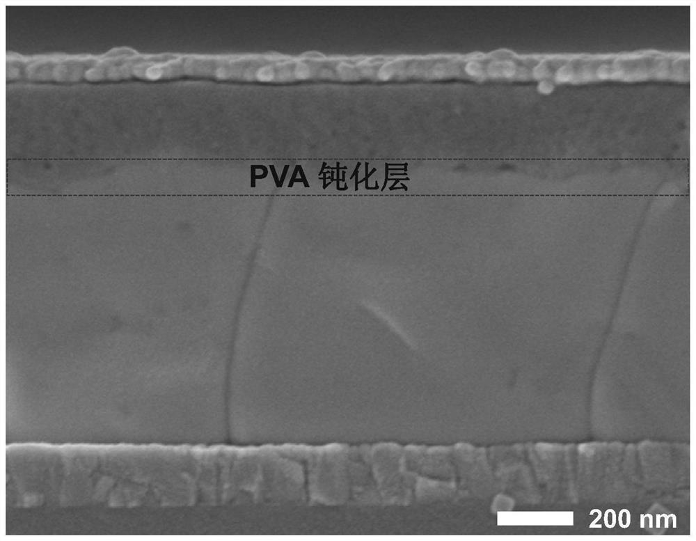 Perovskite solar cell device based on polyvinyl acetate passivation film surface/interface defects and preparation method thereof