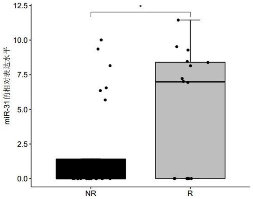 Biomarker for predicting responsiveness of lung adenocarcinoma to platinum-containing double-drug chemotherapy, and related product of biomarker