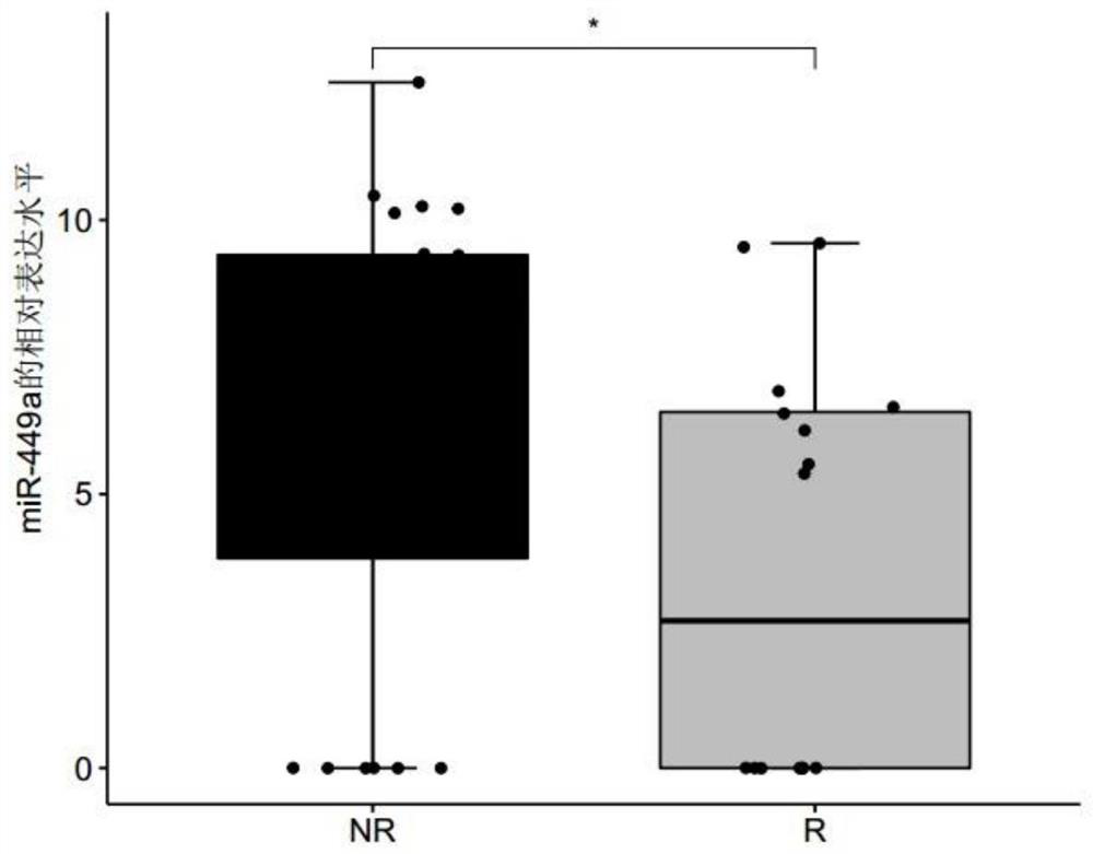 Biomarker for predicting responsiveness of lung adenocarcinoma to platinum-containing double-drug chemotherapy, and related product of biomarker