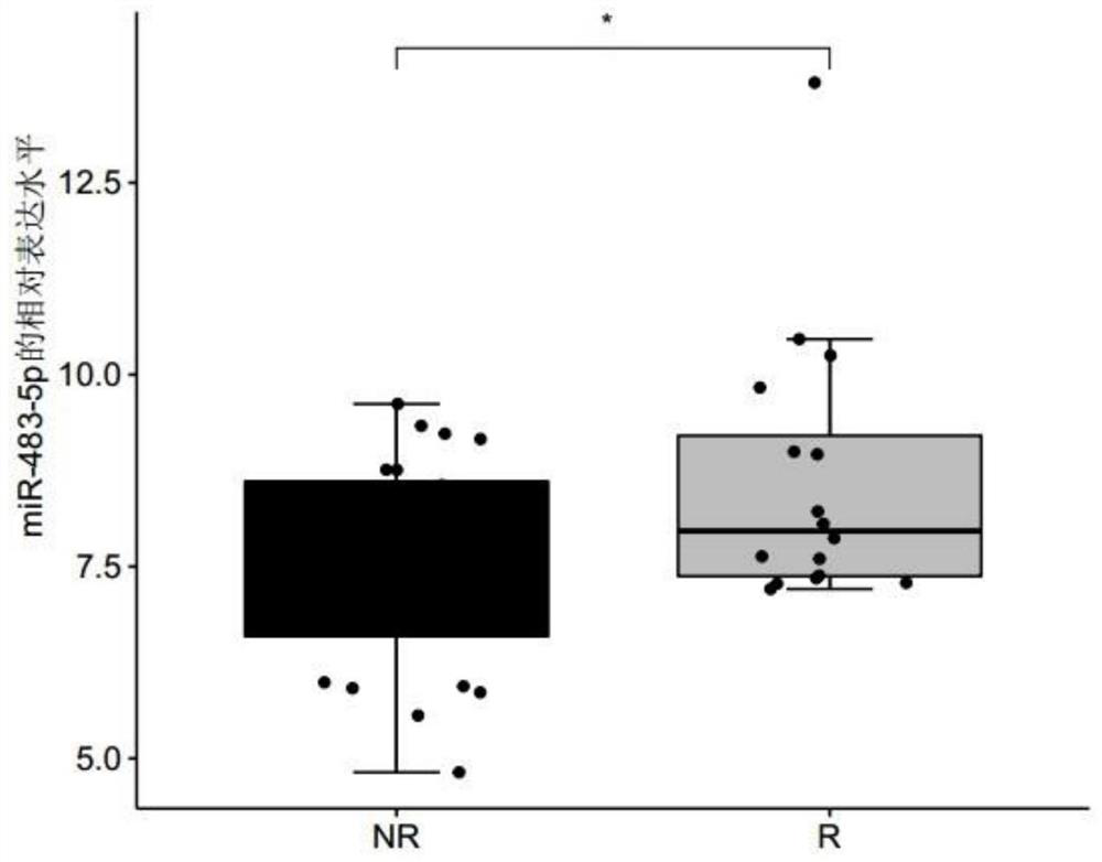 Biomarker for predicting responsiveness of lung adenocarcinoma to platinum-containing double-drug chemotherapy, and related product of biomarker