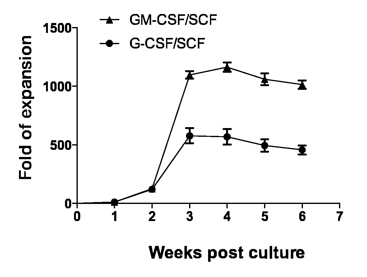 Method for Inducing Differentiation of Myeloid-Derived Suppressor Cells from Cord - Blood CD34 Positive Cells and Proliferating Same, and use of Myeloid-Derived