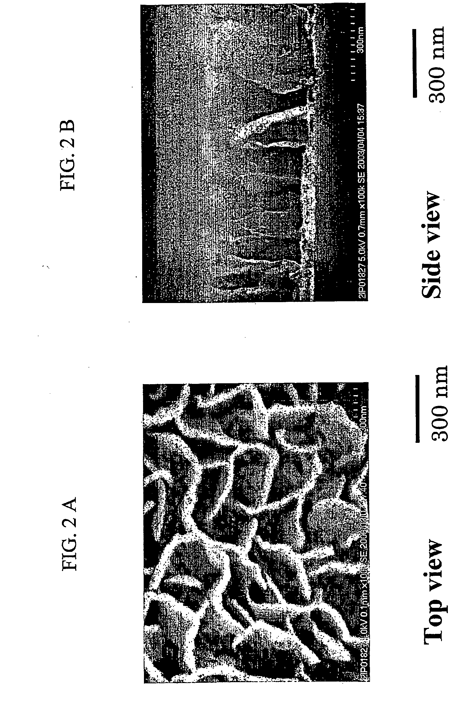 Fuel Cell Separator, Electrode Structure for a Fuel Cell, Methods of Manufacturing Both Thereof, and a Polymer Electrolyte Fuel Cell Comprising the Same