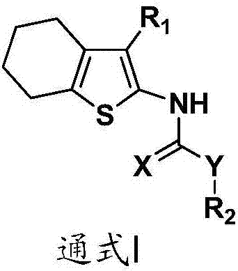 Tetrahydro benzothiophene derivative and application thereof to preparation of glycogen synthase kinase 3 beta inhibitor