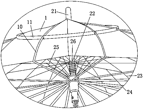 Landing umbrella