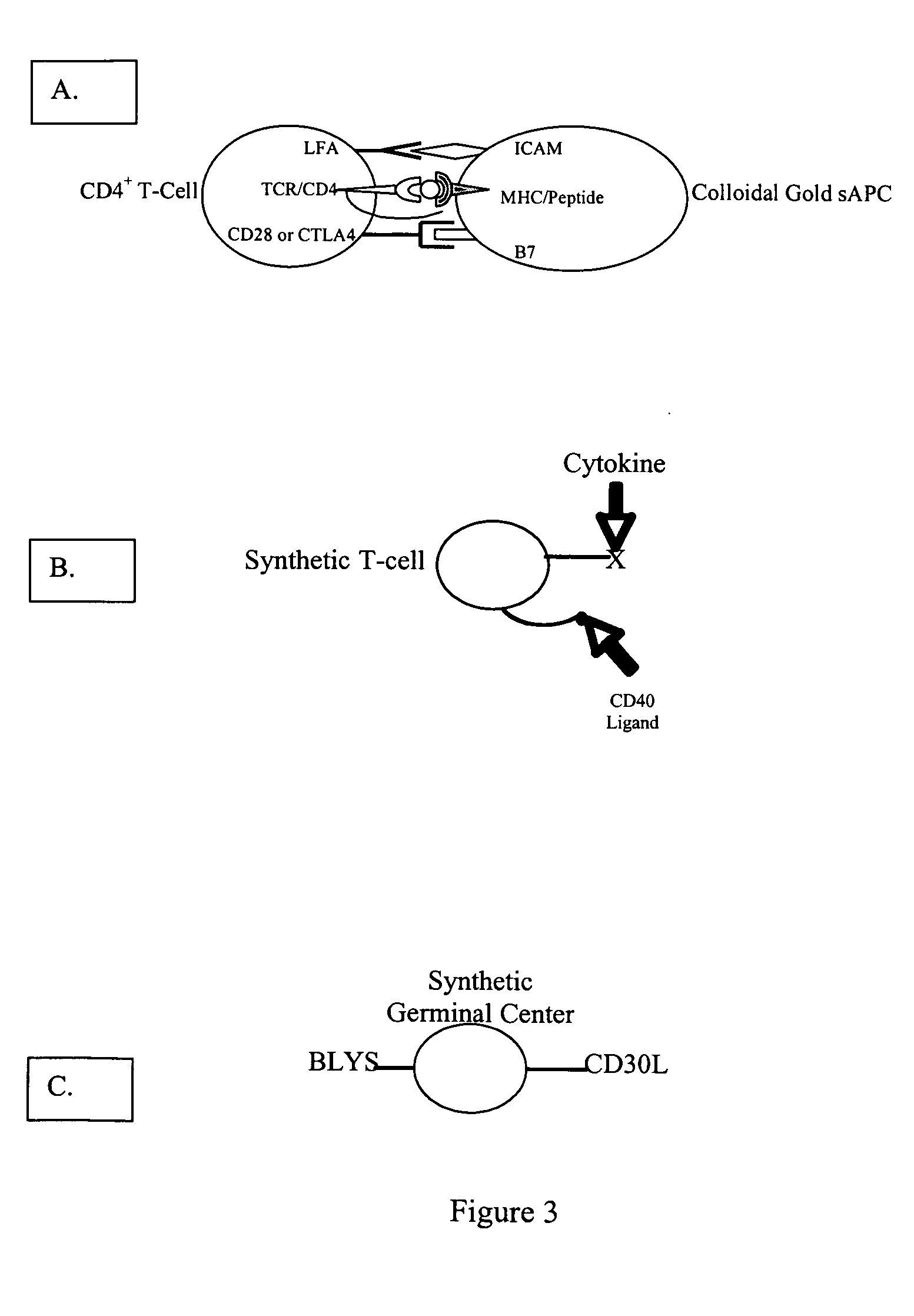 Methods and compositions for the production of monoclonal antibodies