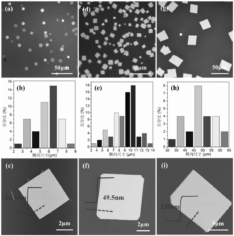 Controllable method for preparing orthogonal-phase stannous sulfide two-dimensional monocrystalline nanosheet