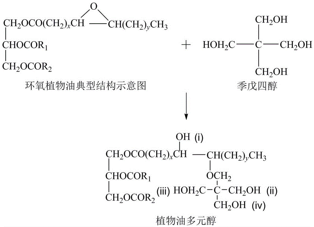 Vegetable oil polyhydric alcohol as well as preparation method and application of vegetable oil polyhydric alcohol