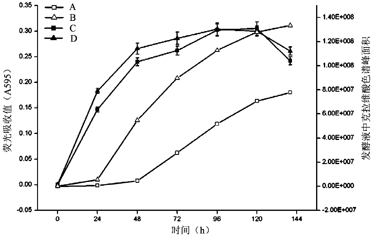 Streptomyces clavuligerus for high-yield clavulanic acid and application of streptomyces clavuligerus