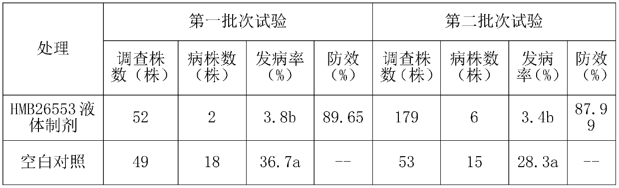 Bacillus subtilis hmb26553 and its application