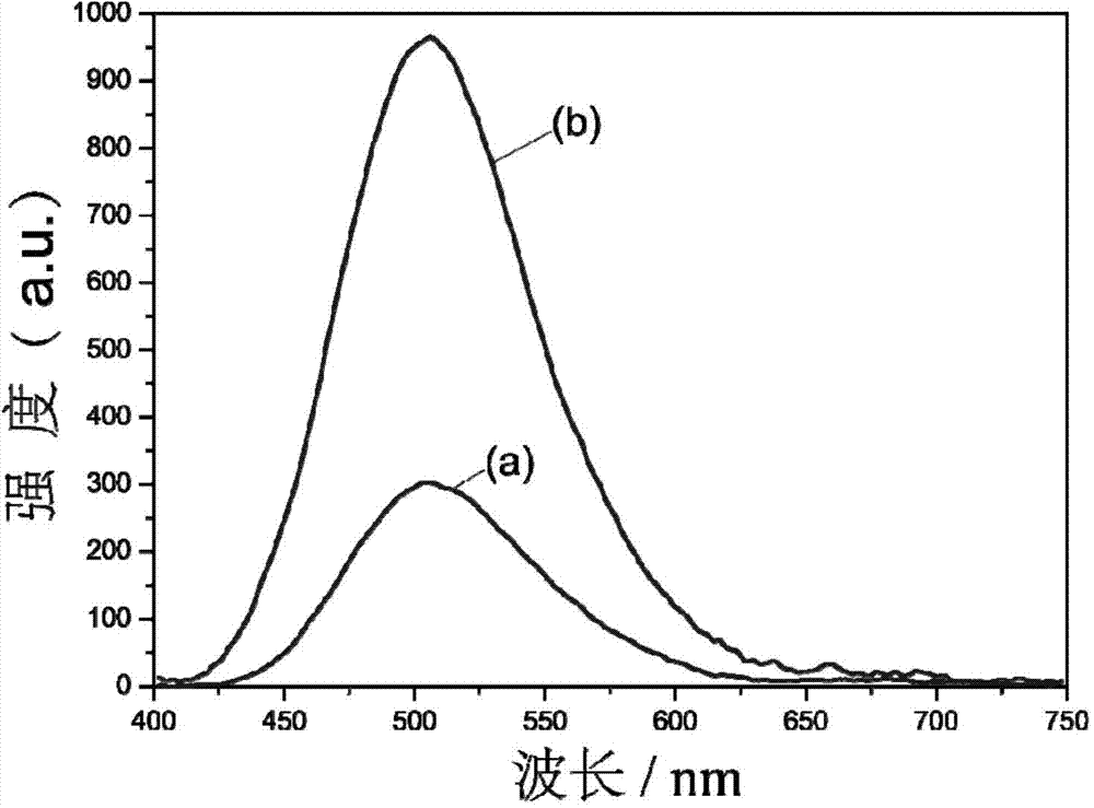 O-cumaric acid LEuH complex and synthesis method thereof