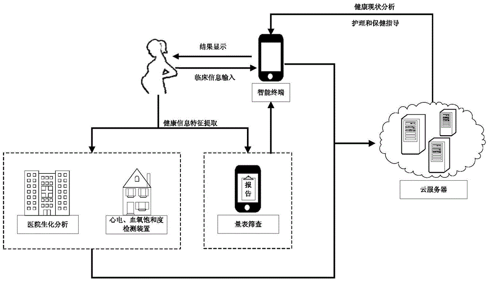 Mobile internet based pregnant and lying-in woman health surveillance system