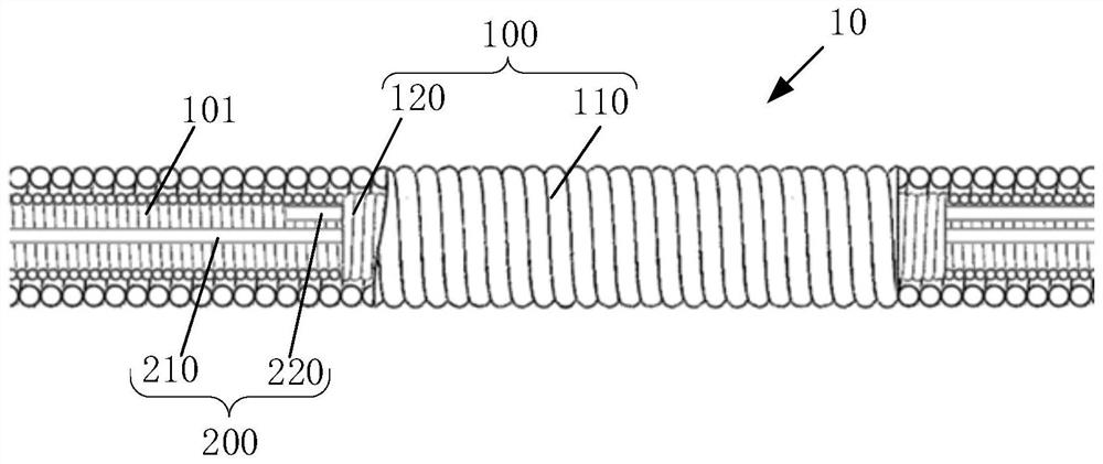 Embolic substance and preparation method thereof