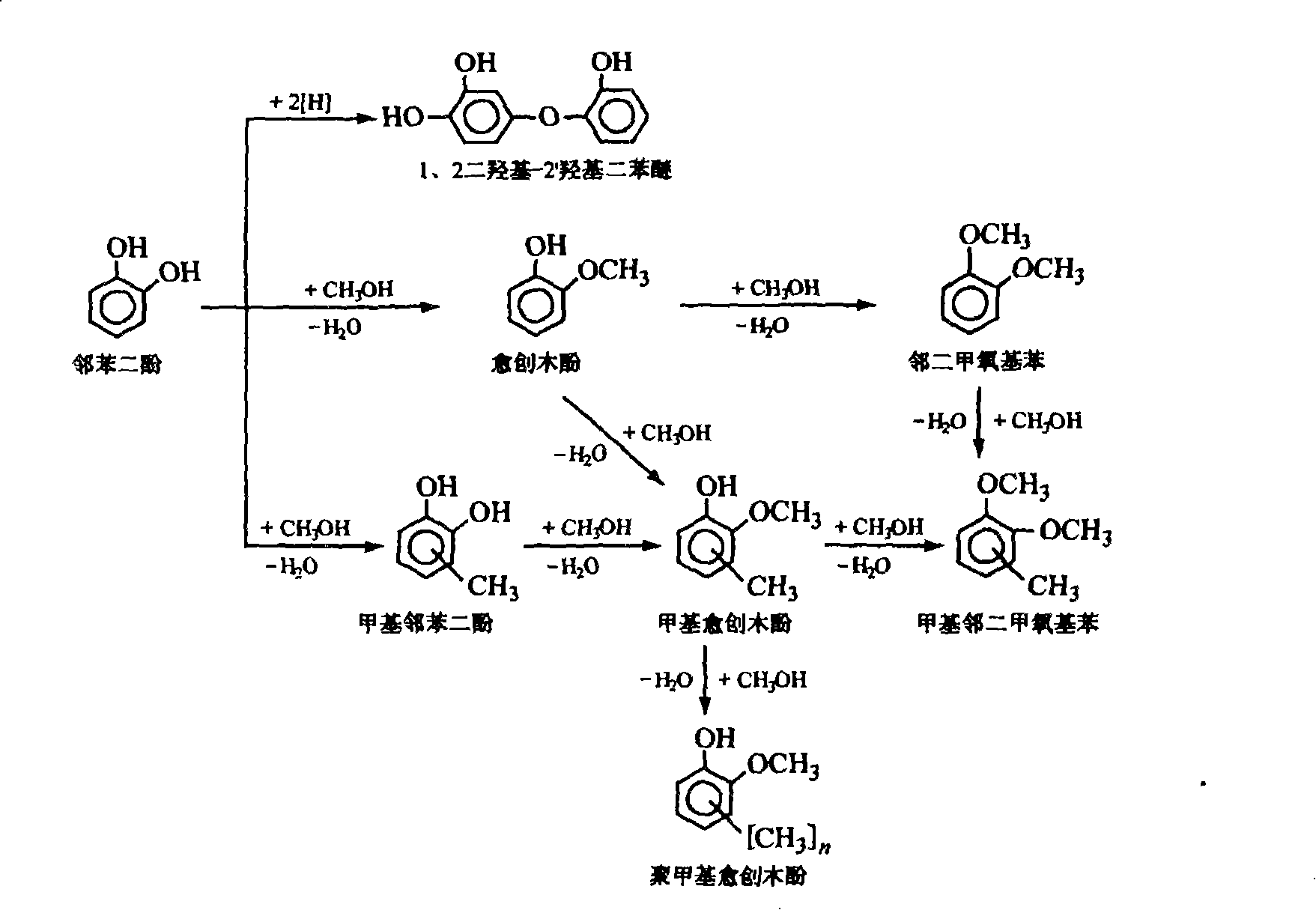 Method for synthesizing guaiacol