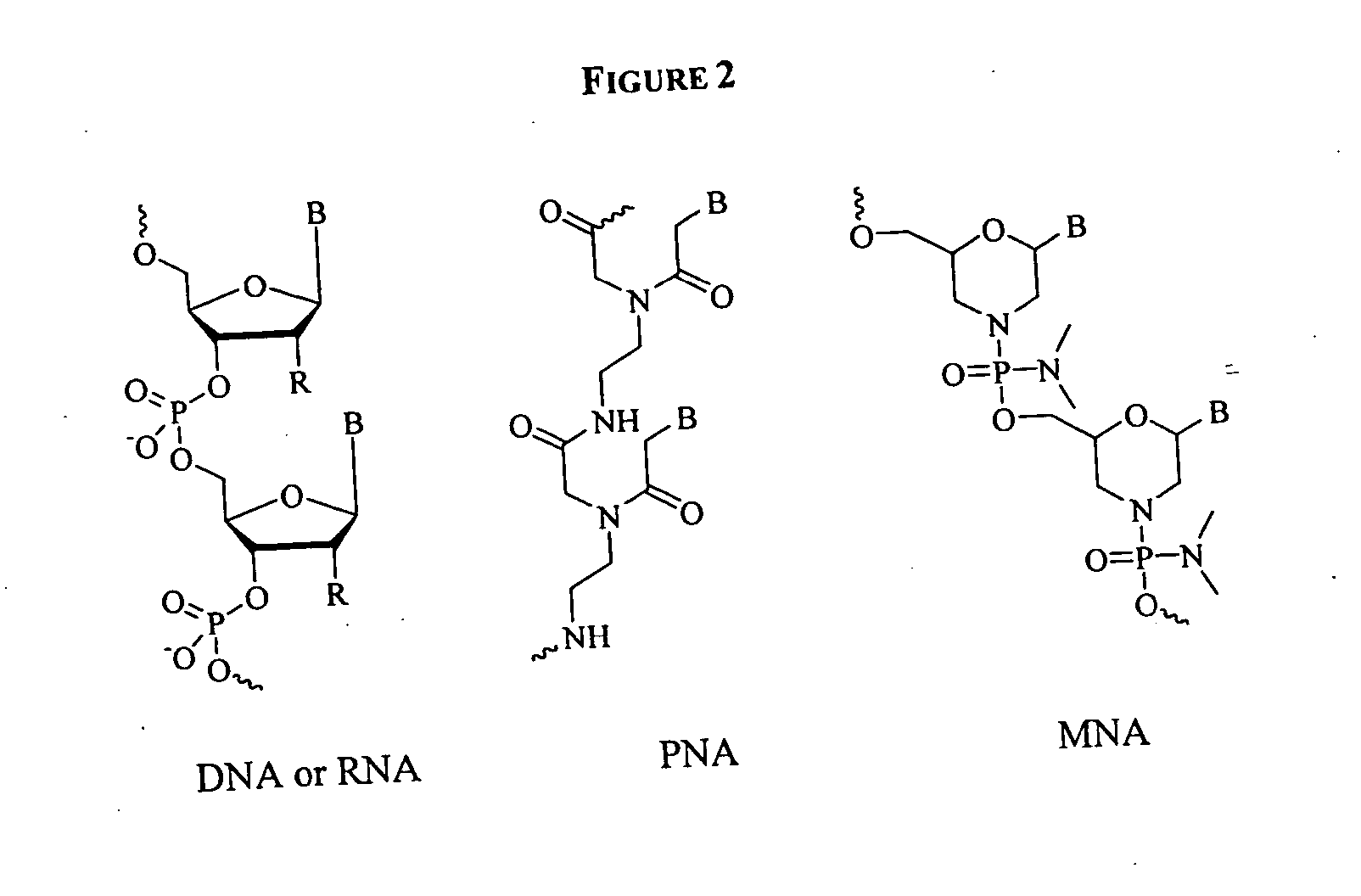 Cobalamin mediated delivery of nucleic acids, analogs and derivatives thereof
