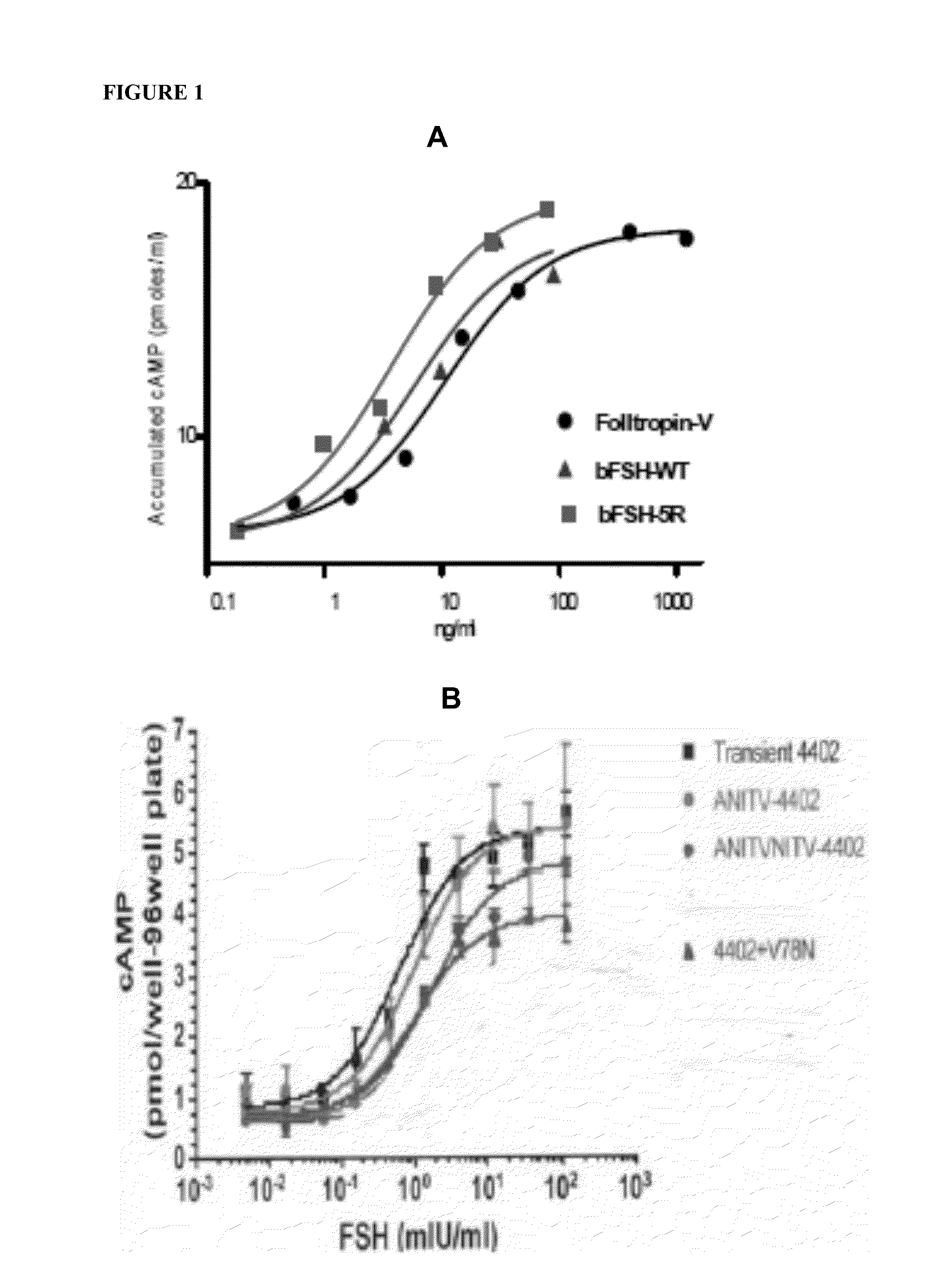 Glycoprotein Hormone Long-Acting Superagonists