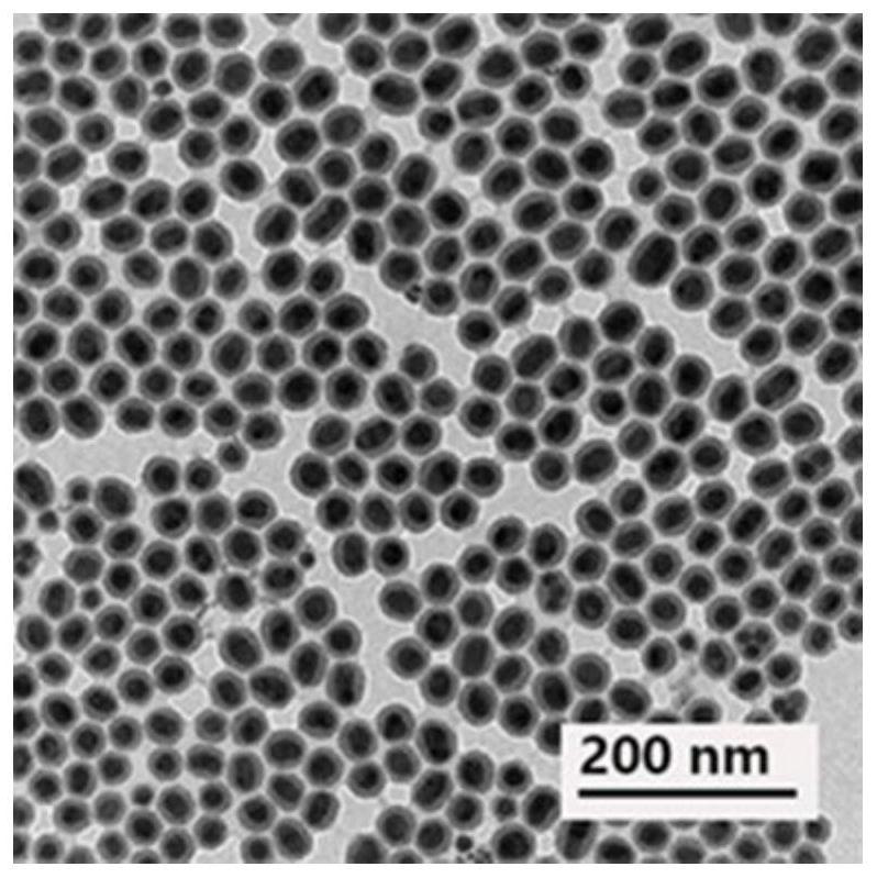 A kind of au@se@pt-ce6 nanocomposite probe and its preparation method