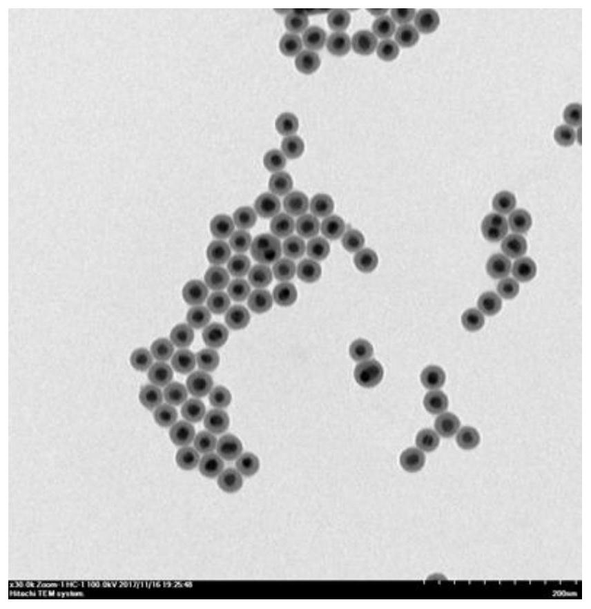 A kind of au@se@pt-ce6 nanocomposite probe and its preparation method