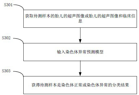 Method for constructing chromosome abnormality prediction model based on fetus ultrasonic image feature omics and diagnostic equipment