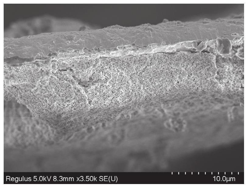 Difunctional microstructure palladium-based membrane reactor and preparation method thereof