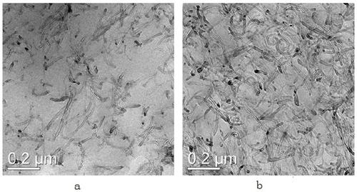 A kind of copolymer composite material and composite electrode material and preparation method thereof