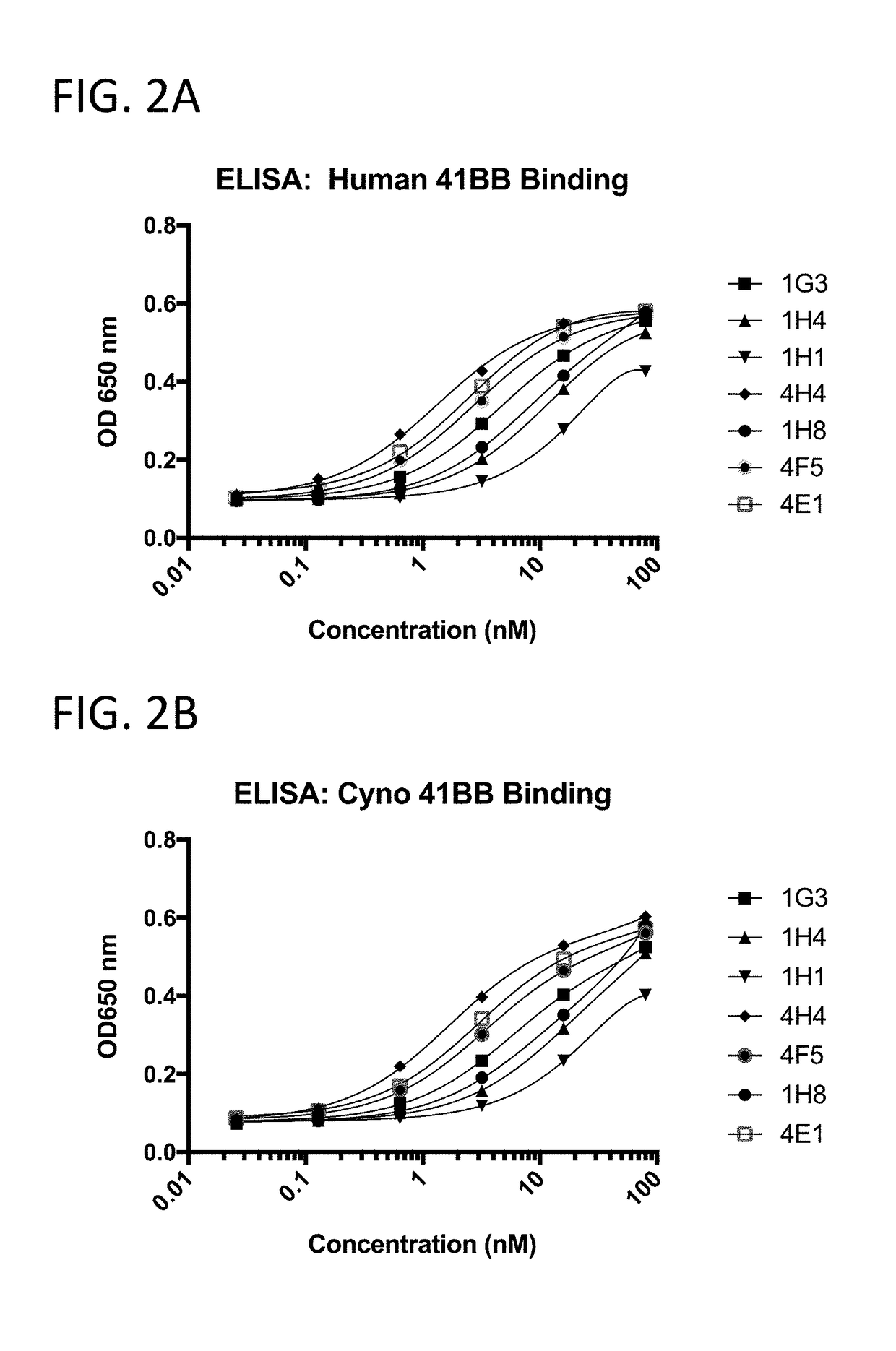Multivalent and multispecific 41bb-binding fusion proteins