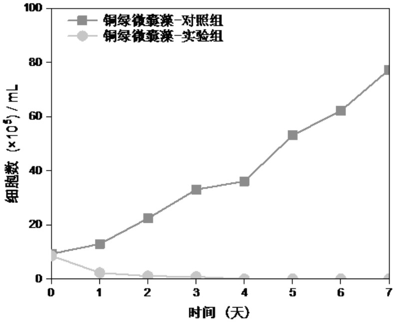 Algae inhibition material and application thereof in soilless culture