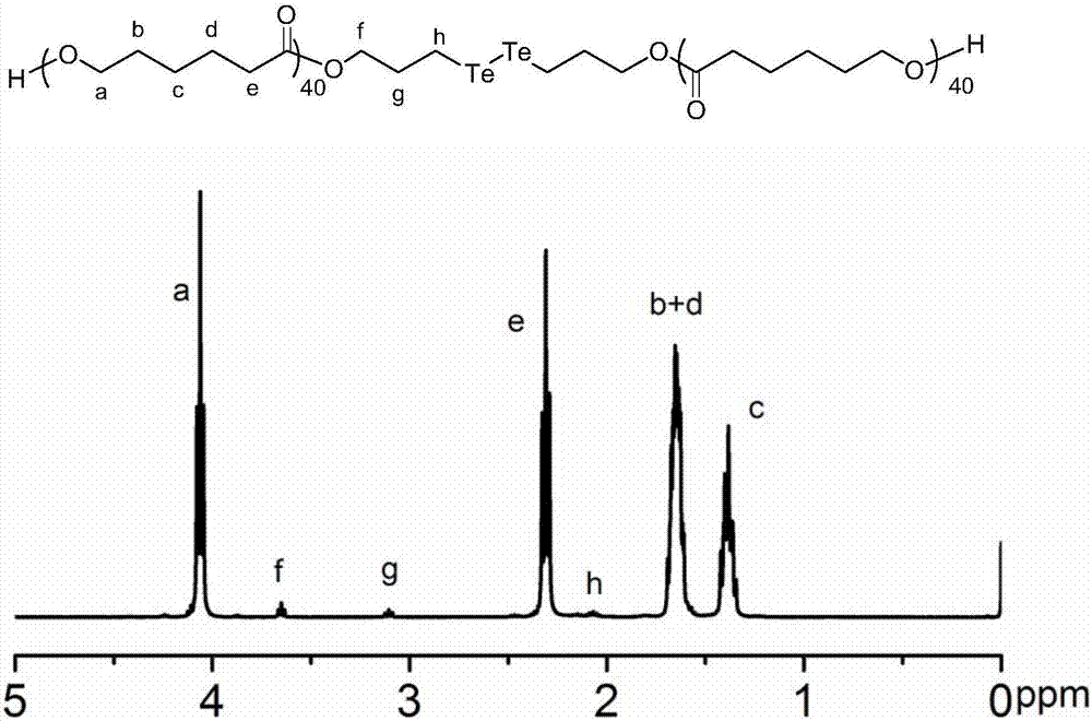 Bi-tellurium-containing biodegradable polymer and preparation method thereof