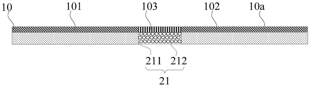 Terminal equipment and folding display screen thereof