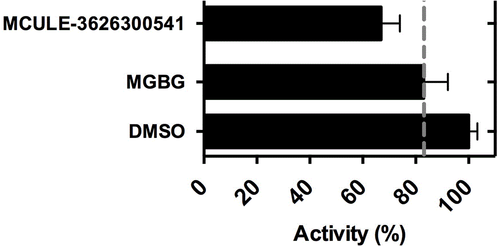 Application of small-molecule covalent inhibitor in preparing medicine for inhibiting S-adenosylmethionine decarboxylase and screening method of small-molecule covalent inhibitor