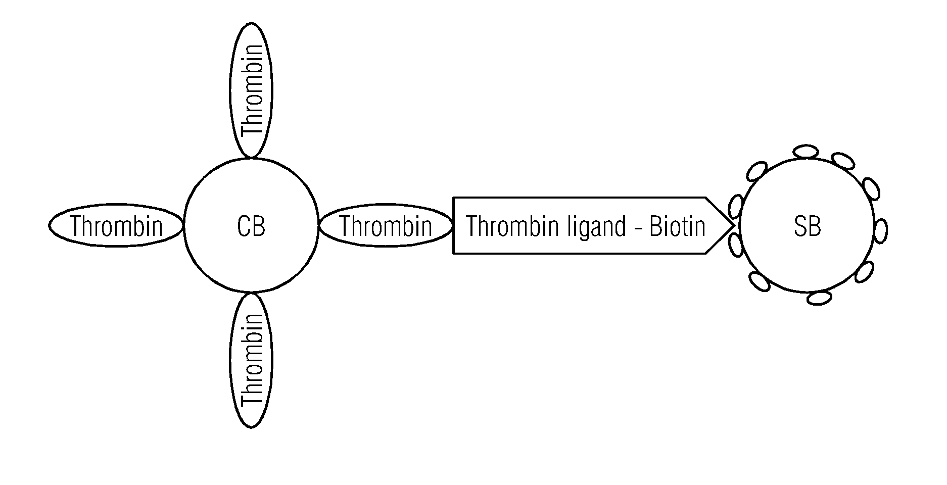 Method of Determining Inhibitors of Coagulation