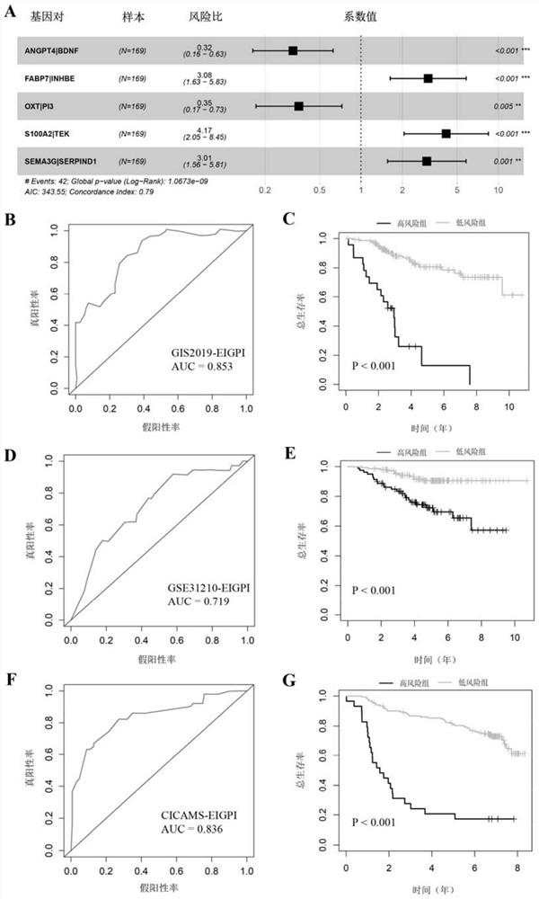 Immune-clinical feature combined prediction model for evaluating prognosis of lung adenocarcinoma