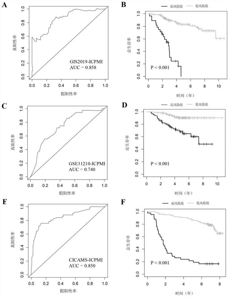 Immune-clinical feature combined prediction model for evaluating prognosis of lung adenocarcinoma