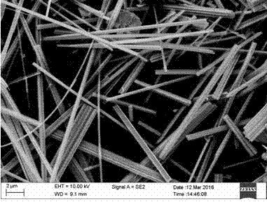 Hollow-structure nano tungsten oxide wire prepared through in-situ growth of graphene oxide