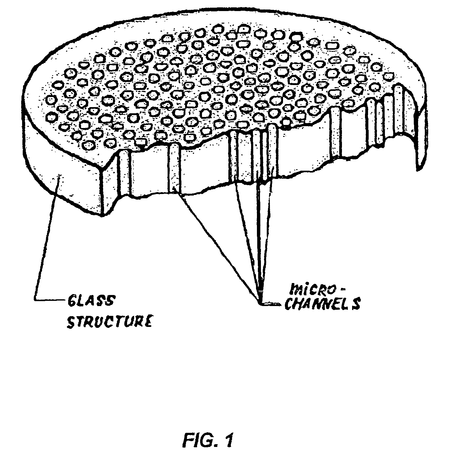 Device for rapid detection and identification of single microorganisms without preliminary growth