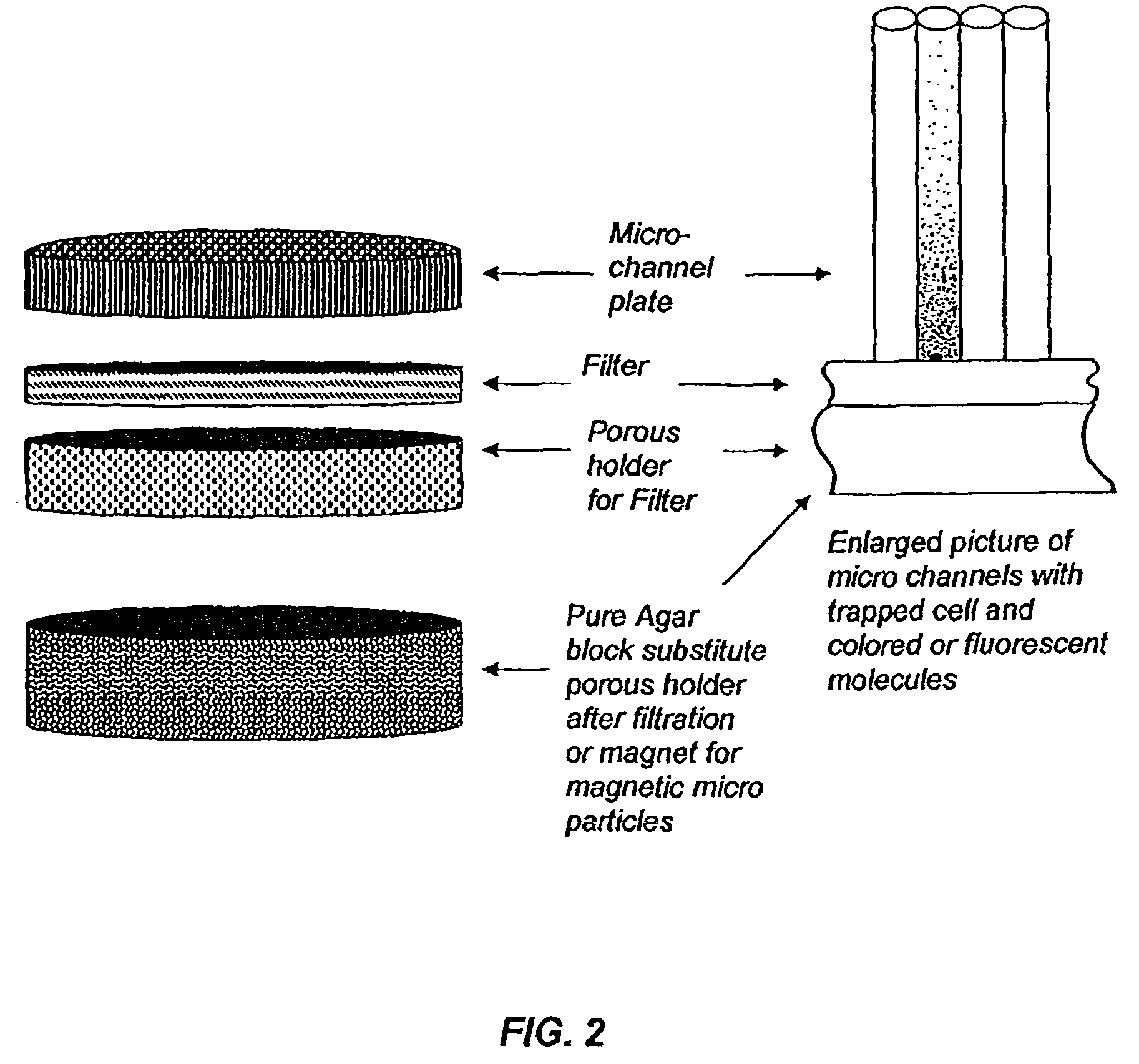 Device for rapid detection and identification of single microorganisms without preliminary growth