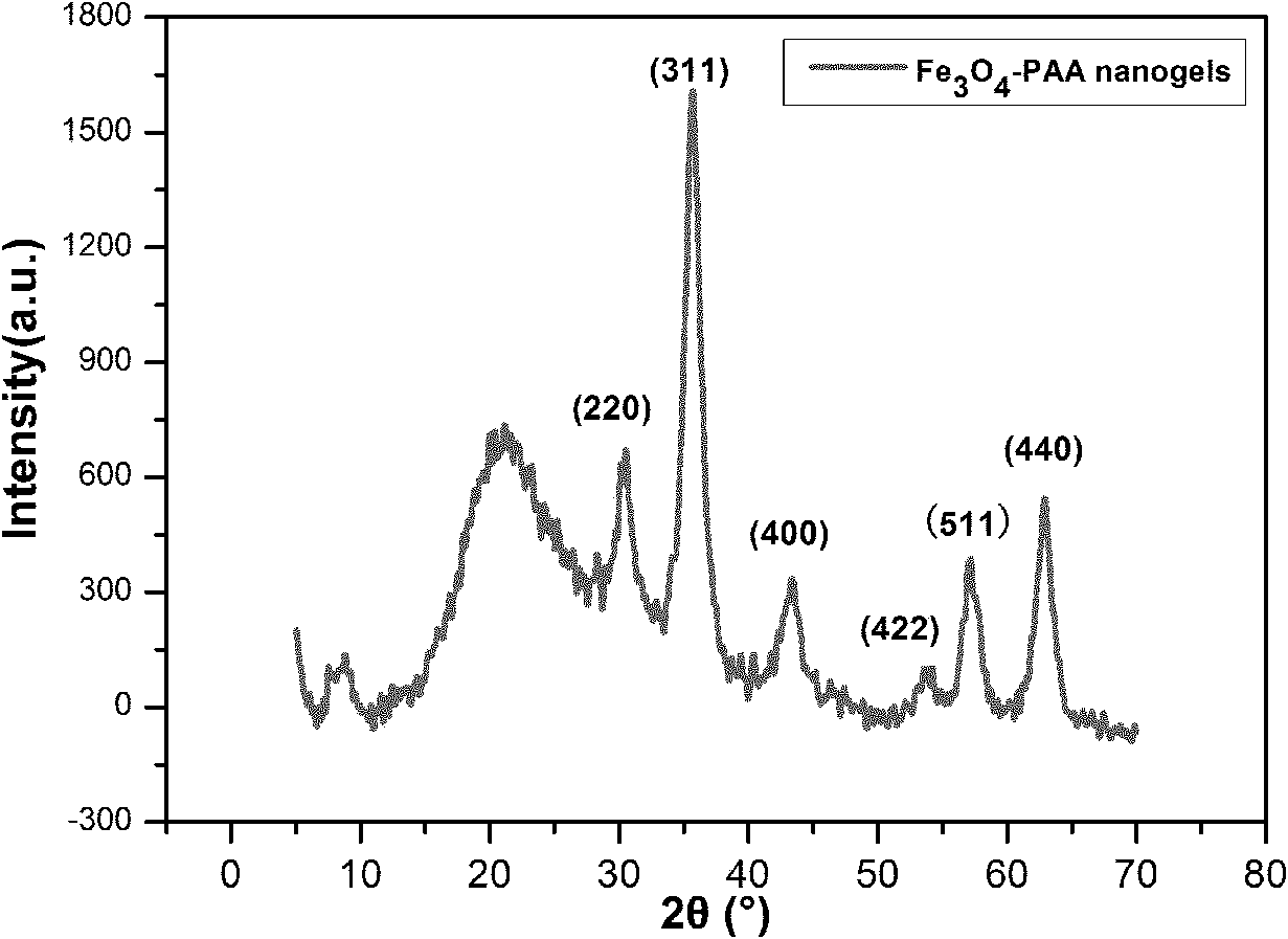 Method for synthesizing superparamagnetic ferroferric oxide nano particle in situ by induction of acrylic acid polymer nano hydrogel