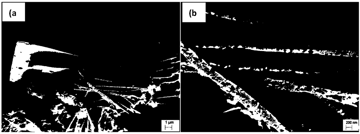 Lamellar silicon oxide and carbon and cobalt oxide composite material and preparation method thereof