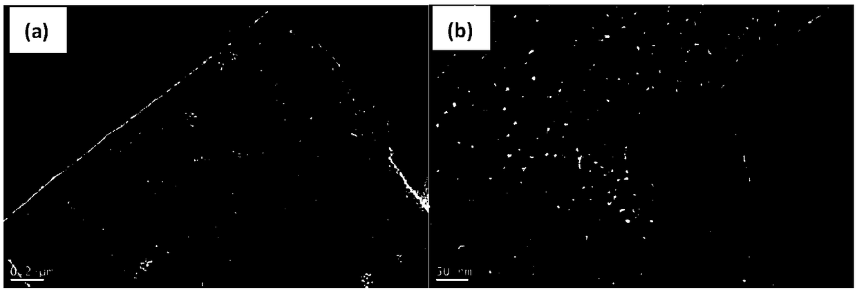 Lamellar silicon oxide and carbon and cobalt oxide composite material and preparation method thereof